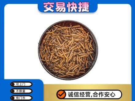 张家界礼品回收虫草.jpg